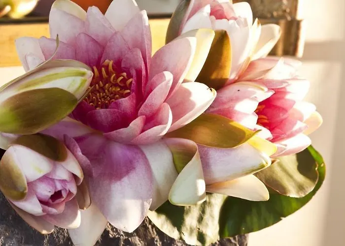 Mansart - Esprit De France Szálloda 4*